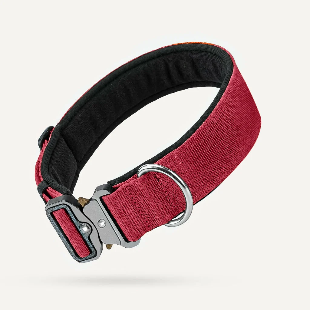 Tactical Dog Collar