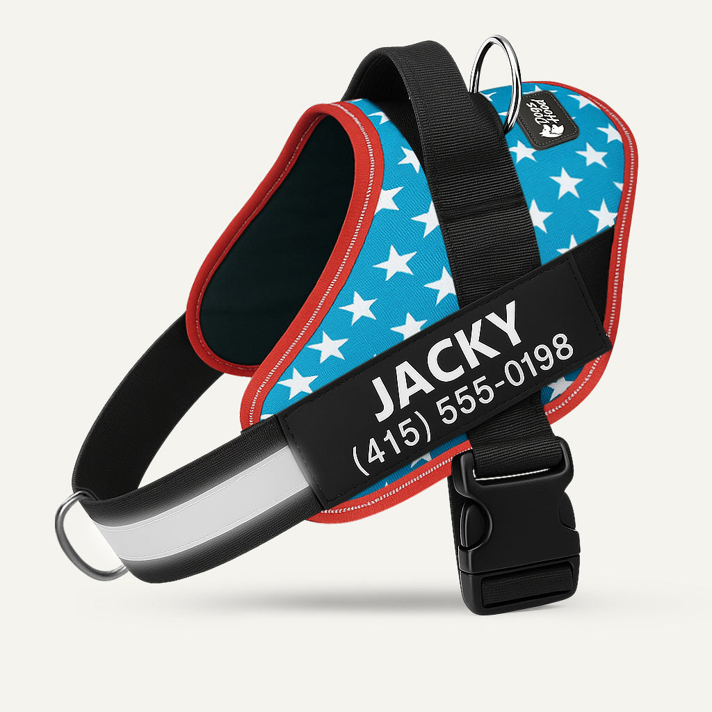 Dogshood ™ No Pull Harness