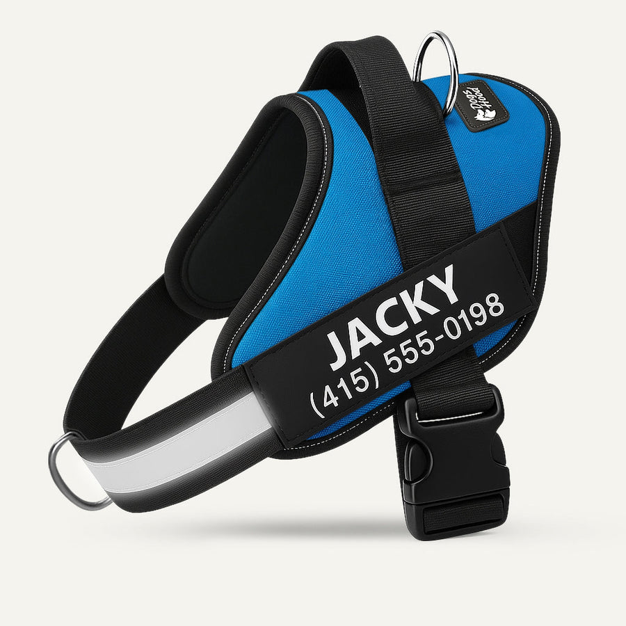 Dogshood ™ No Pull Harness