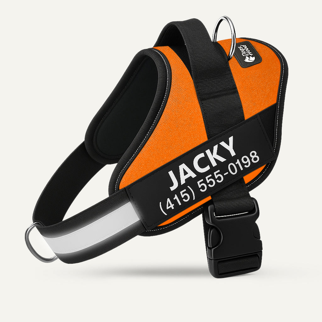 Dogshood ™ No Pull Harness