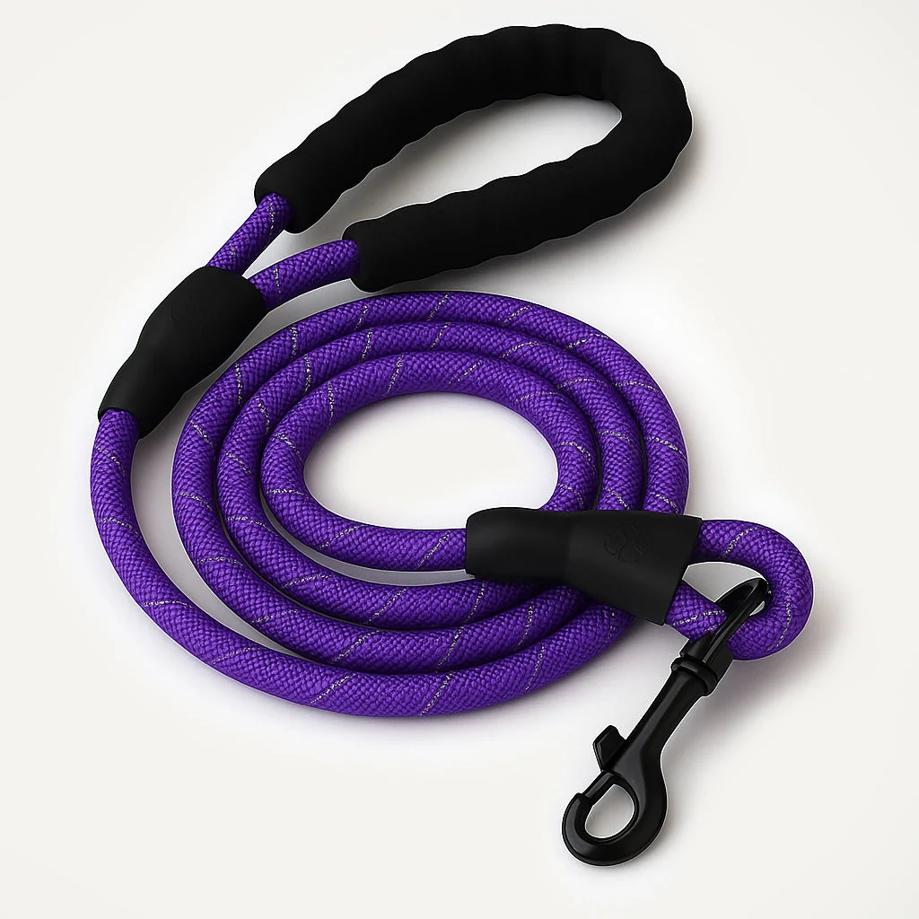 Reflective Nylon Leash