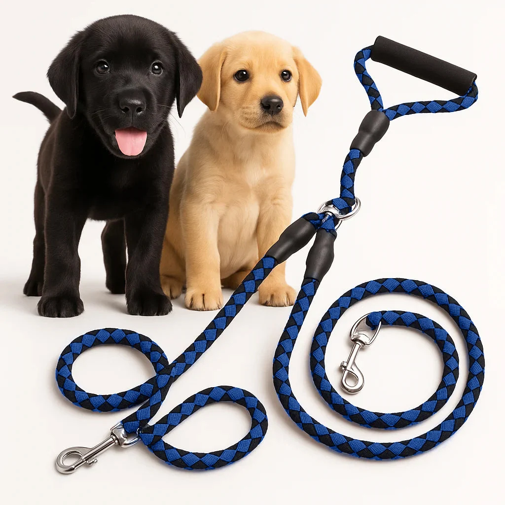Double Leash — Walk Two Dogs, One Leash