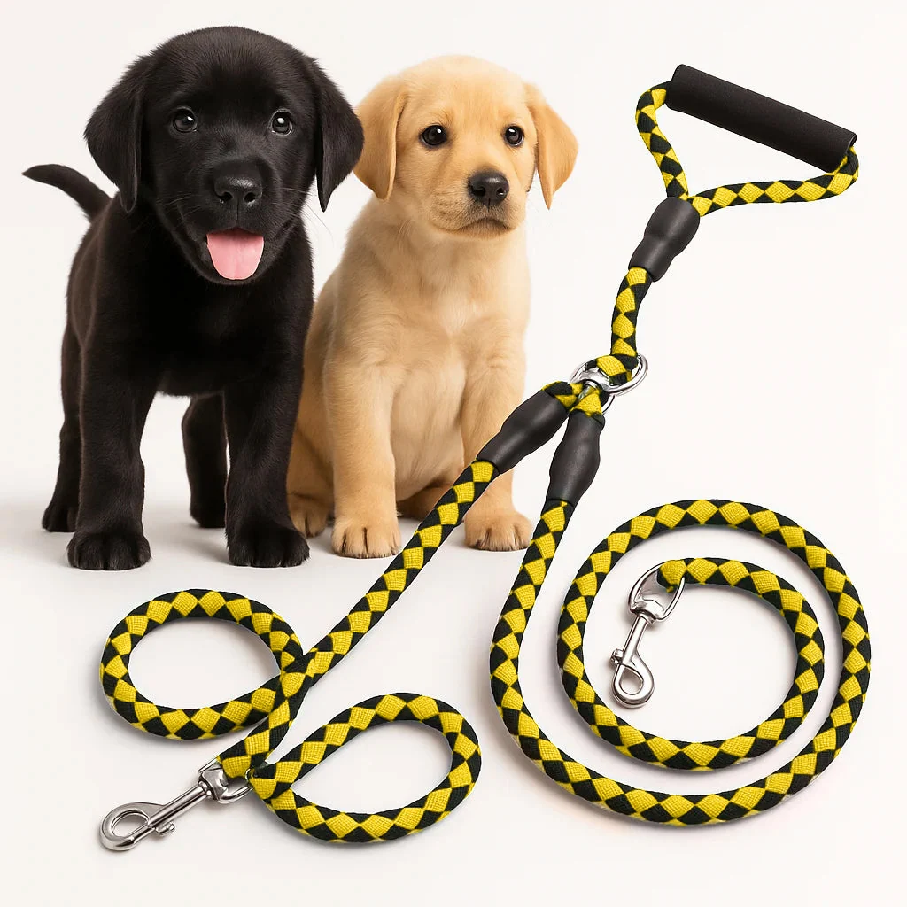 Double Leash — Walk Two Dogs, One Leash