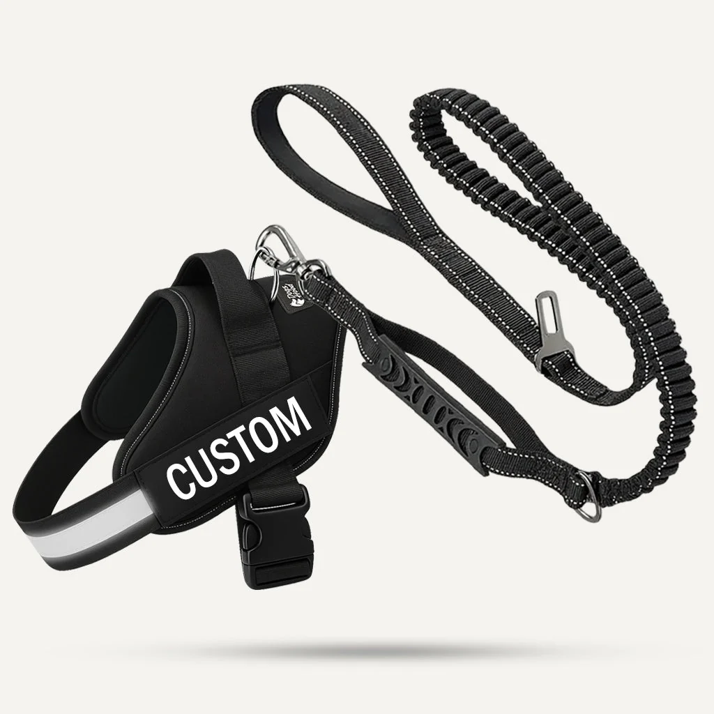 Essentials Set