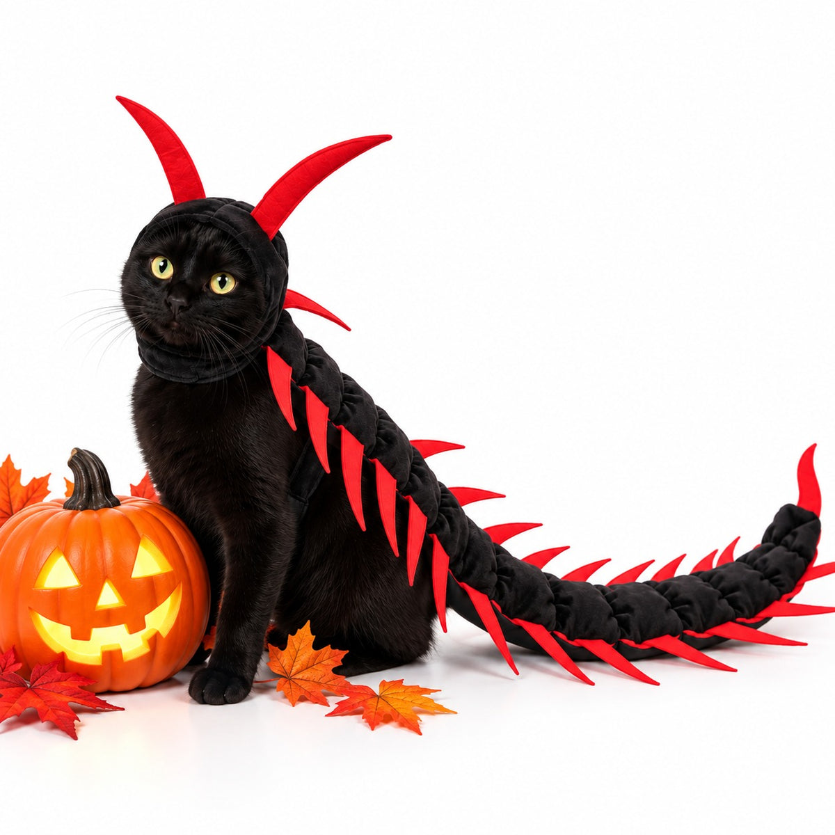 Cat Centipede Costume
